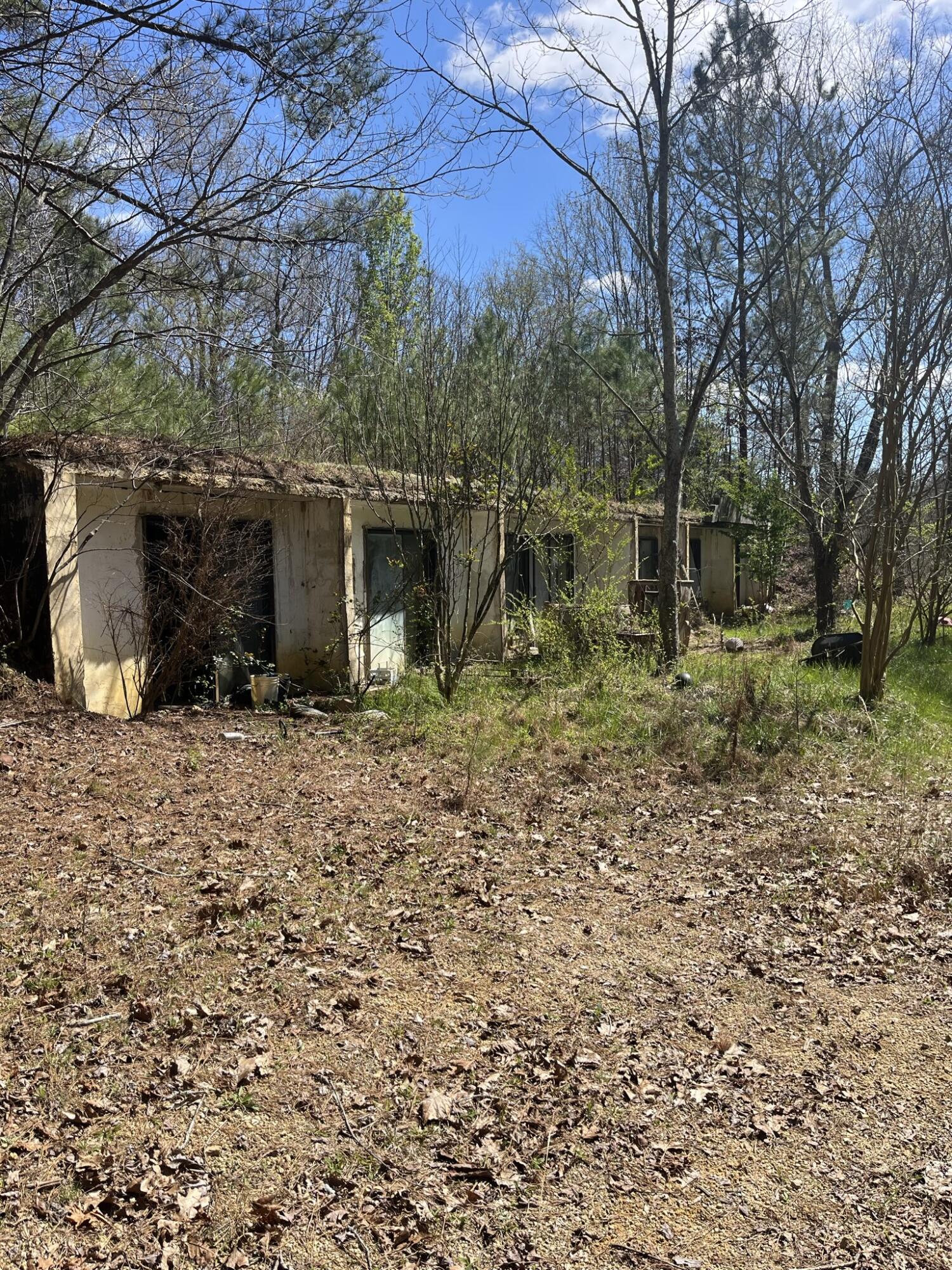 192 Hollow Road Trion, GA 30753 - Photo 2 of 13 IMG_1750