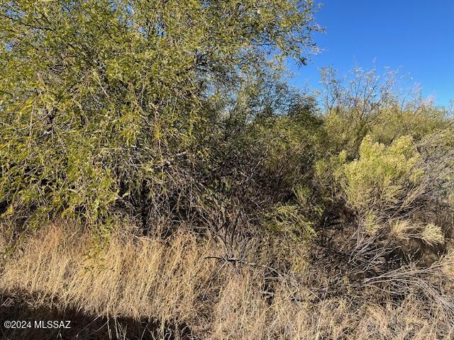 3150 West Rice Road Benson, AZ 85602 - Photo 2 of 7