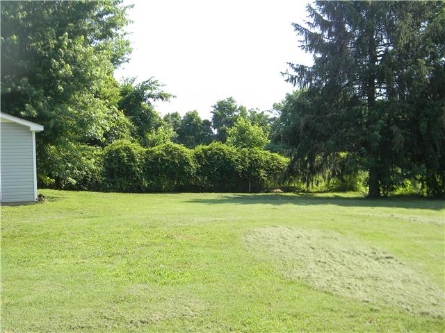 5049 Pickering Road Clarksville, TN 37043 - Photo 16 of 19 Large, level back yard, chain link fence & storage building.