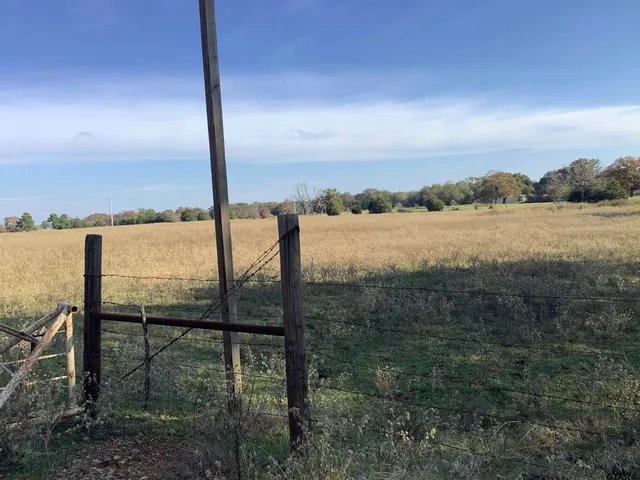 a view of a yard with wooden fence