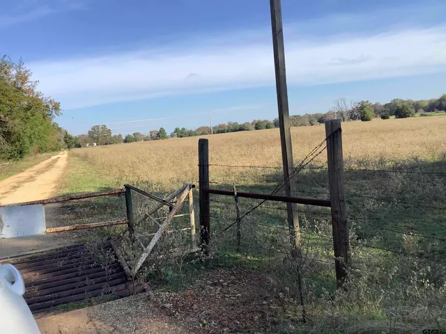 a view of a yard with large trees