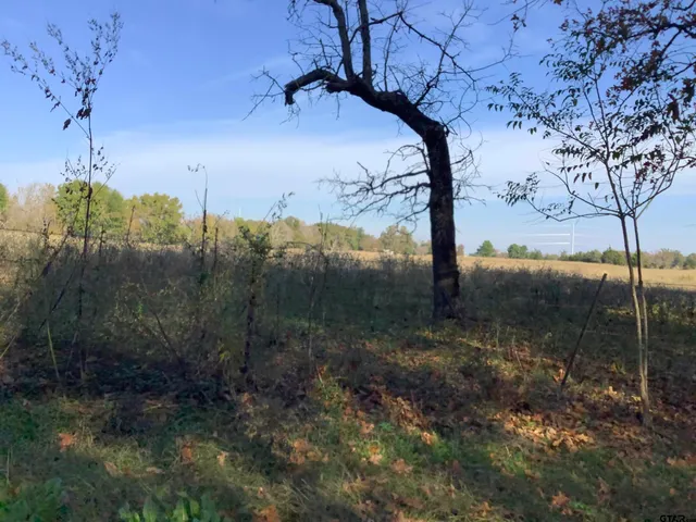 a view of lake with green space