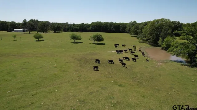 an aerial view of a house with a yard and lake view