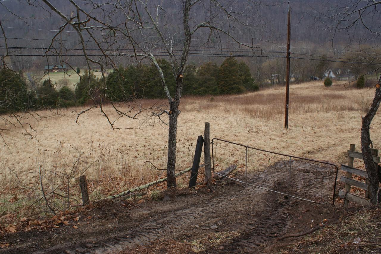 0 Jackson River Road Hot Springs, VA 24445 - Photo 1 of 4 Horse Tract