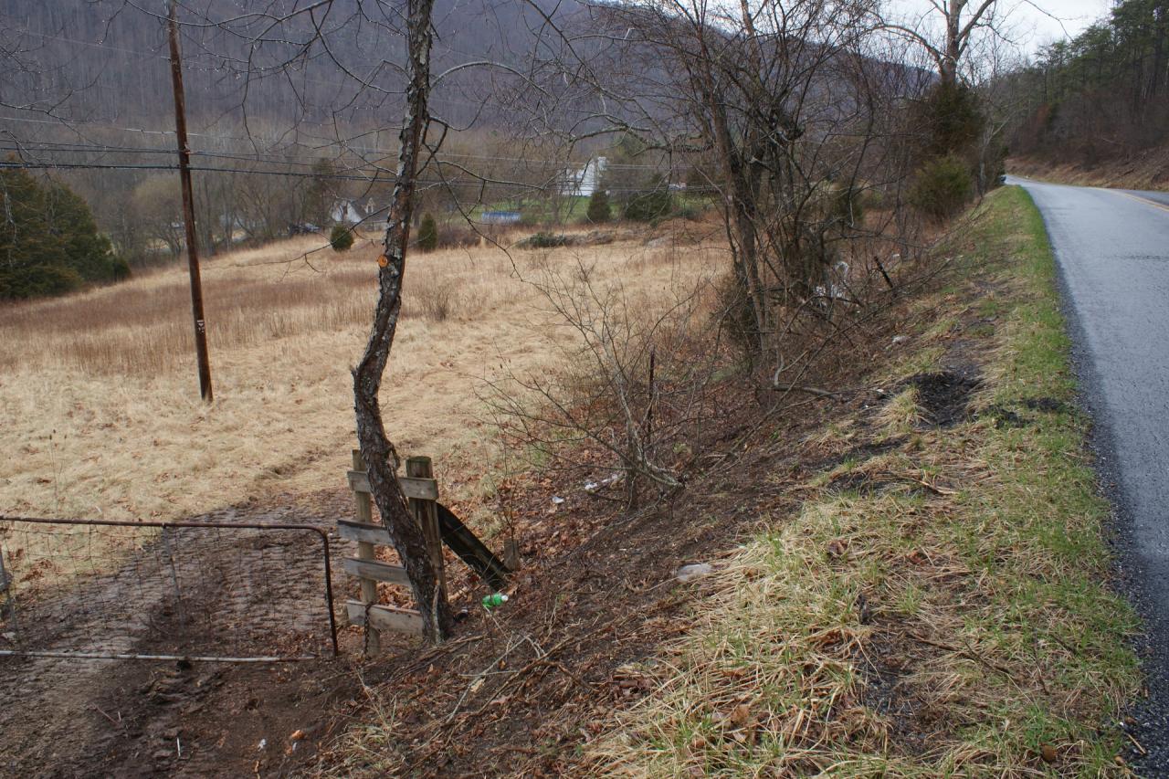 0 Jackson River Road Hot Springs, VA 24445 - Photo 2 of 4 Horse Tract