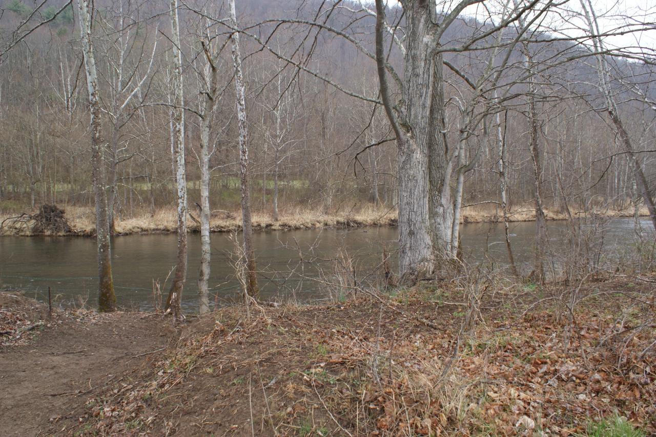 0 Jackson River Road Hot Springs, VA 24445 - Photo 4 of 4 Horse Tract