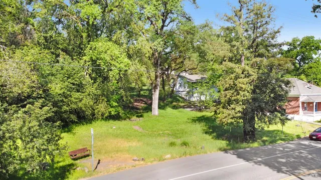 a view of a yard with plants