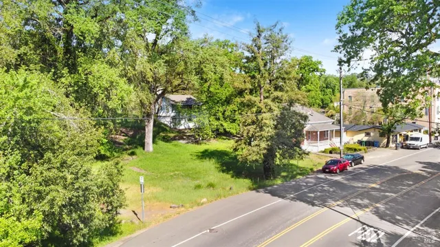 a view of street with flower plants