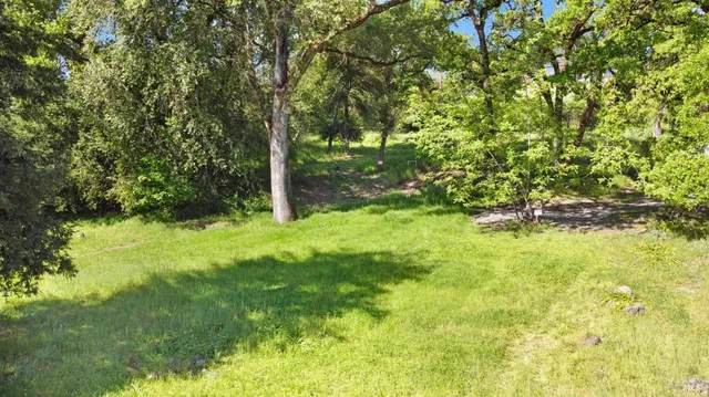a view of yard with green space