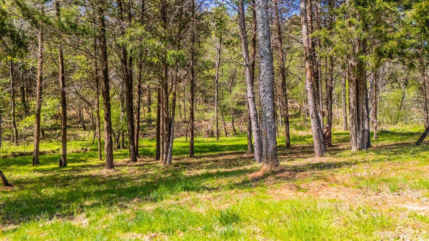4442 Goode Road Goode, VA 24556 - Photo 55 of 63