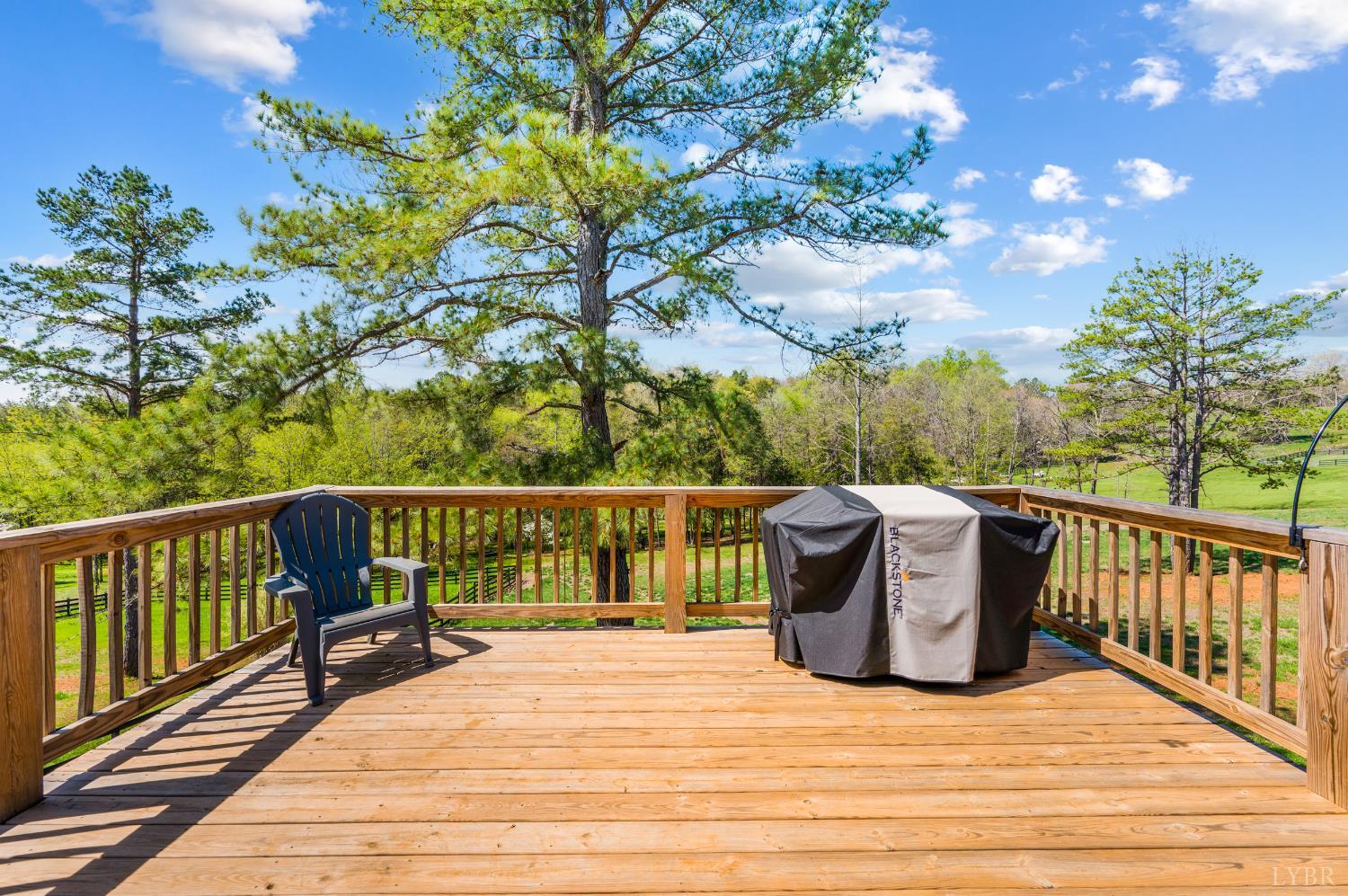 4442 Goode Road Goode, VA 24556 - Photo 10 of 63