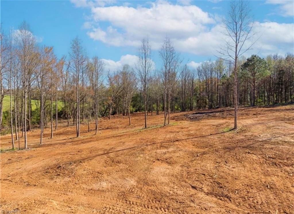2633 Sprouse Road Boonville, NC 27011 - Photo 7 of 19