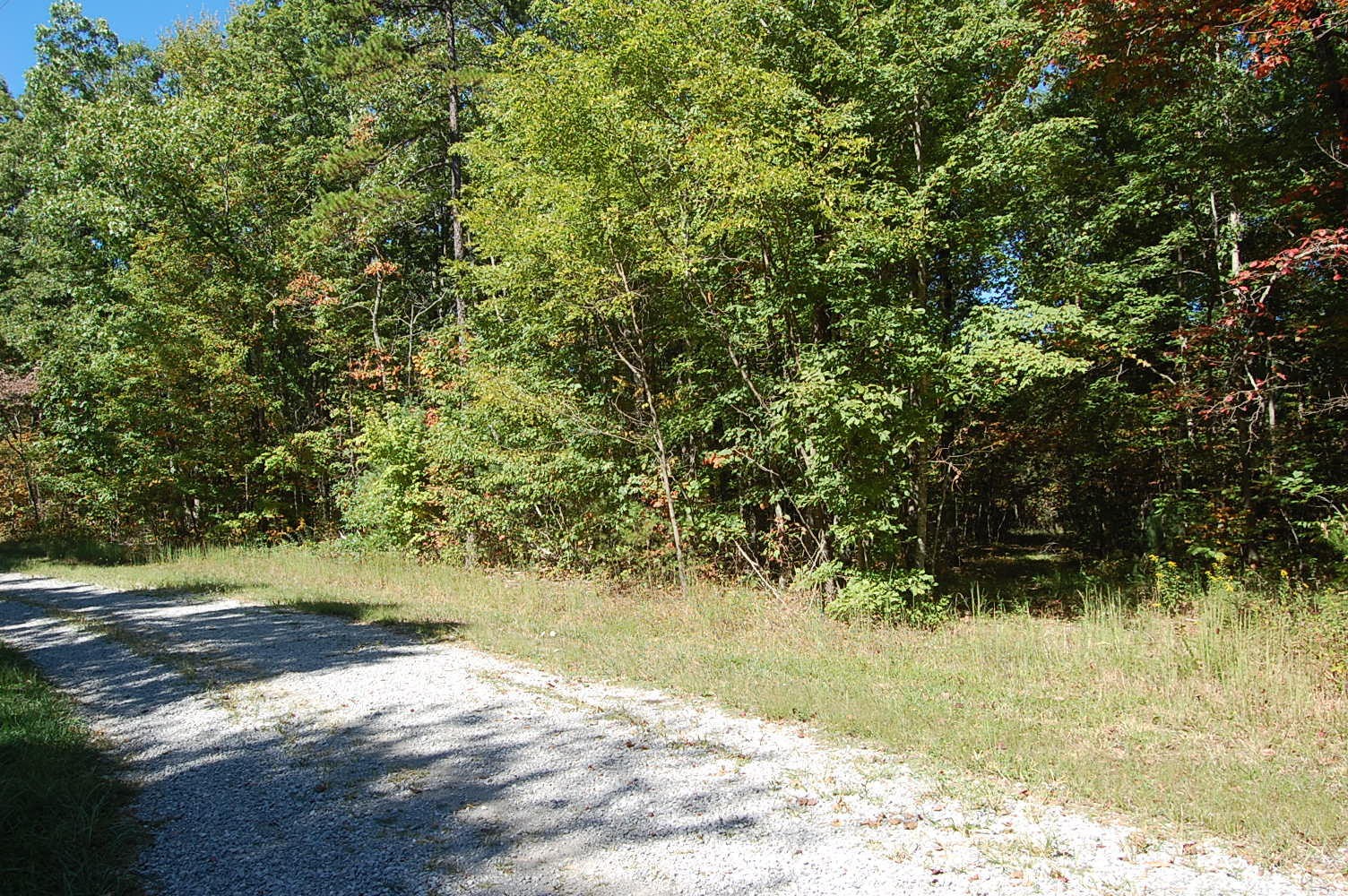 200 West Bluff Road Pikeville, TN 37367 - Photo 1 of 47 Gallery Image 1