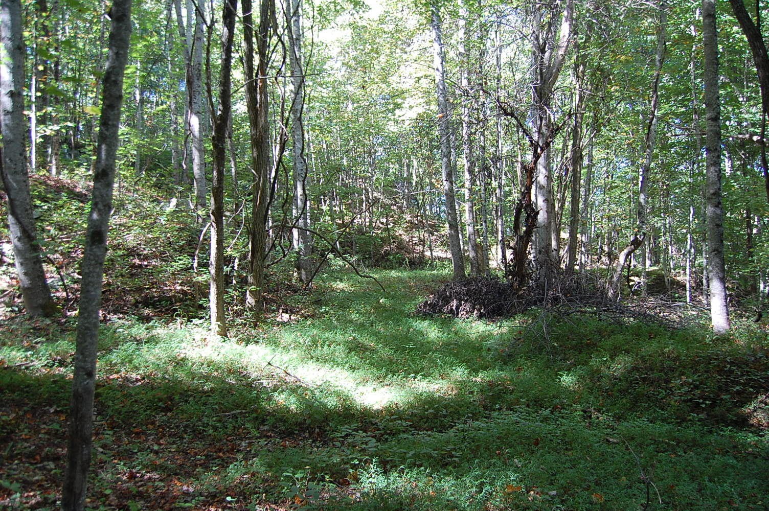 200 West Bluff Road Pikeville, TN 37367 - Photo 13 of 47 Gallery Image 13