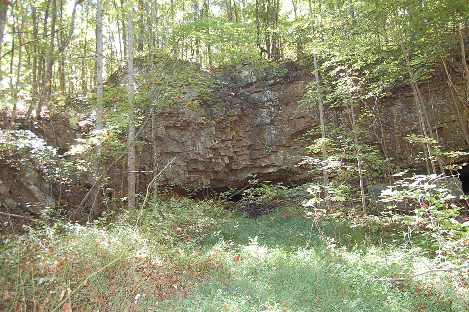 200 West Bluff Road Pikeville, TN 37367 - Photo 16 of 47 Gallery Image 16