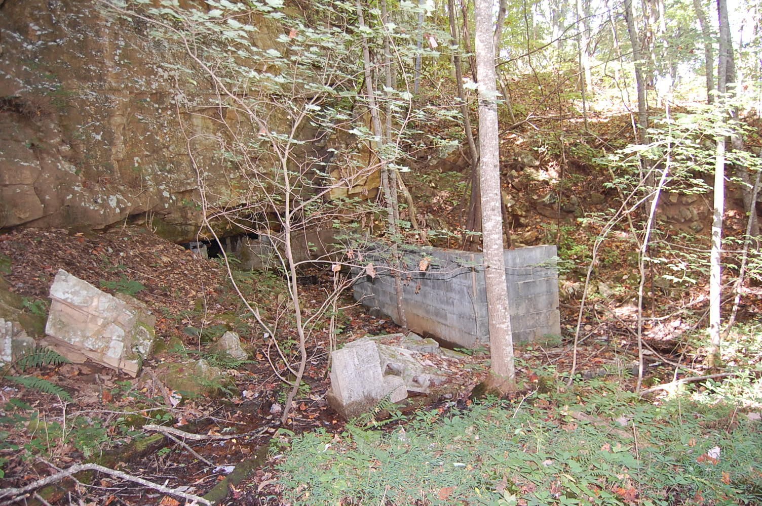 200 West Bluff Road Pikeville, TN 37367 - Photo 18 of 47 Gallery Image 18