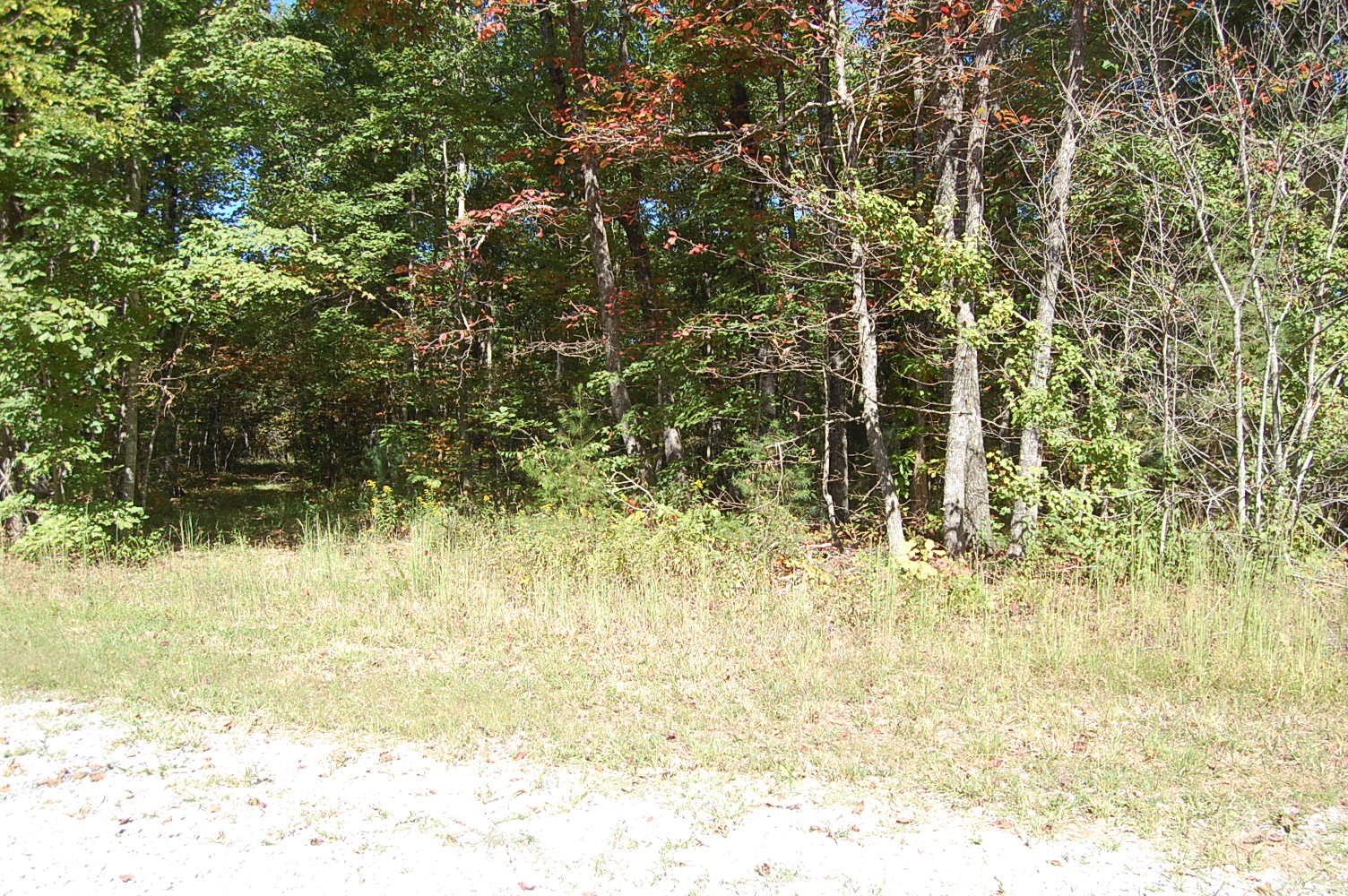 200 West Bluff Road Pikeville, TN 37367 - Photo 2 of 47 Gallery Image 2