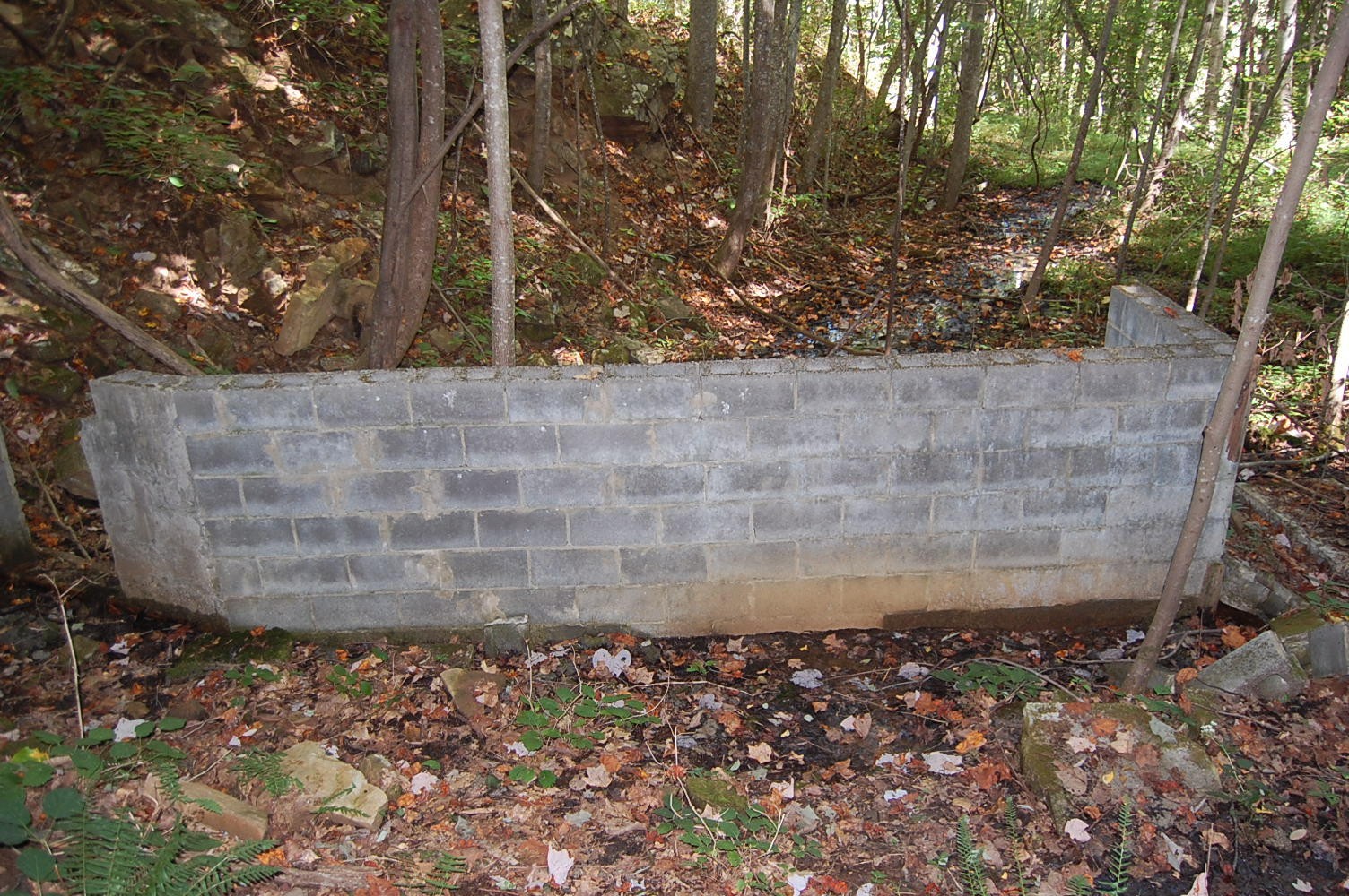 200 West Bluff Road Pikeville, TN 37367 - Photo 21 of 47 Gallery Image 21