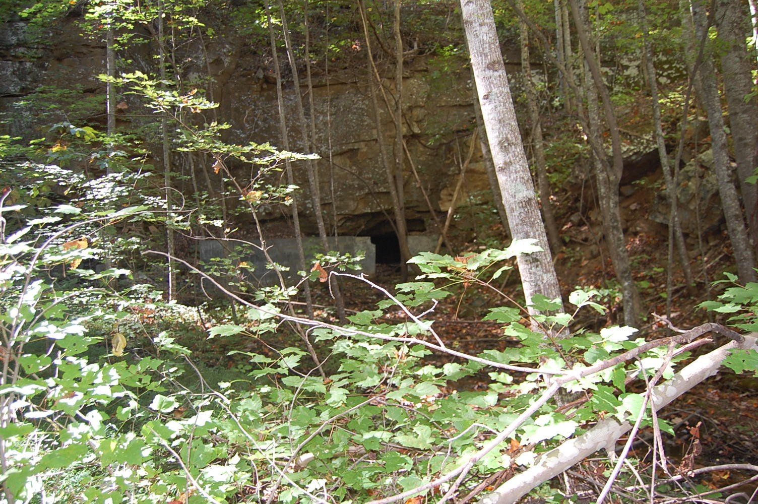 200 West Bluff Road Pikeville, TN 37367 - Photo 24 of 47 Gallery Image 24