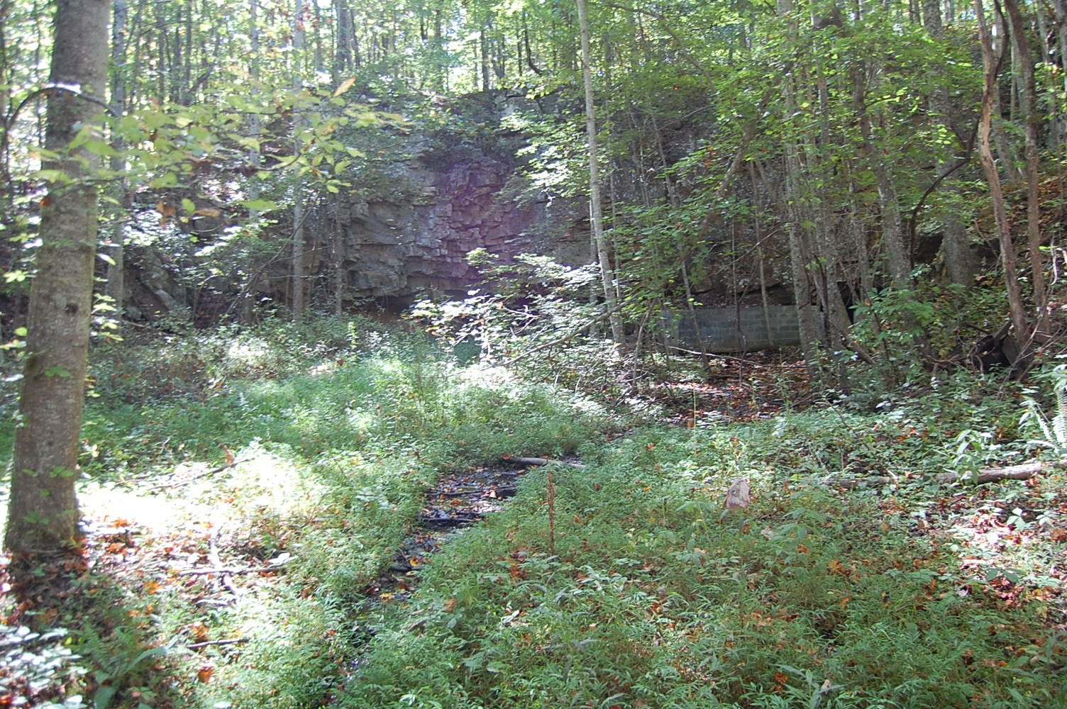 200 West Bluff Road Pikeville, TN 37367 - Photo 27 of 47 Gallery Image 27