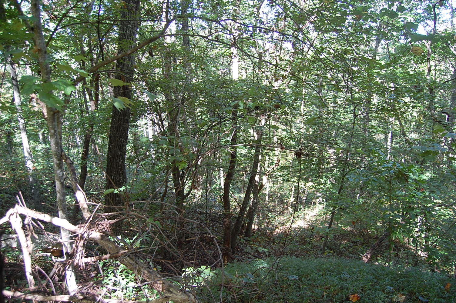 200 West Bluff Road Pikeville, TN 37367 - Photo 28 of 47 Gallery Image 28