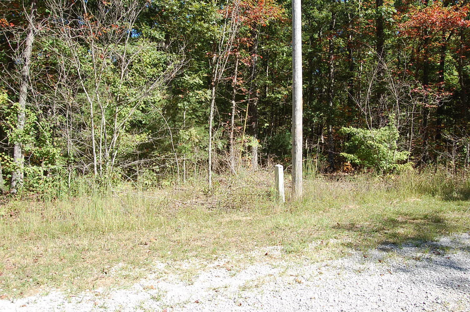 200 West Bluff Road Pikeville, TN 37367 - Photo 3 of 47 Gallery Image 3