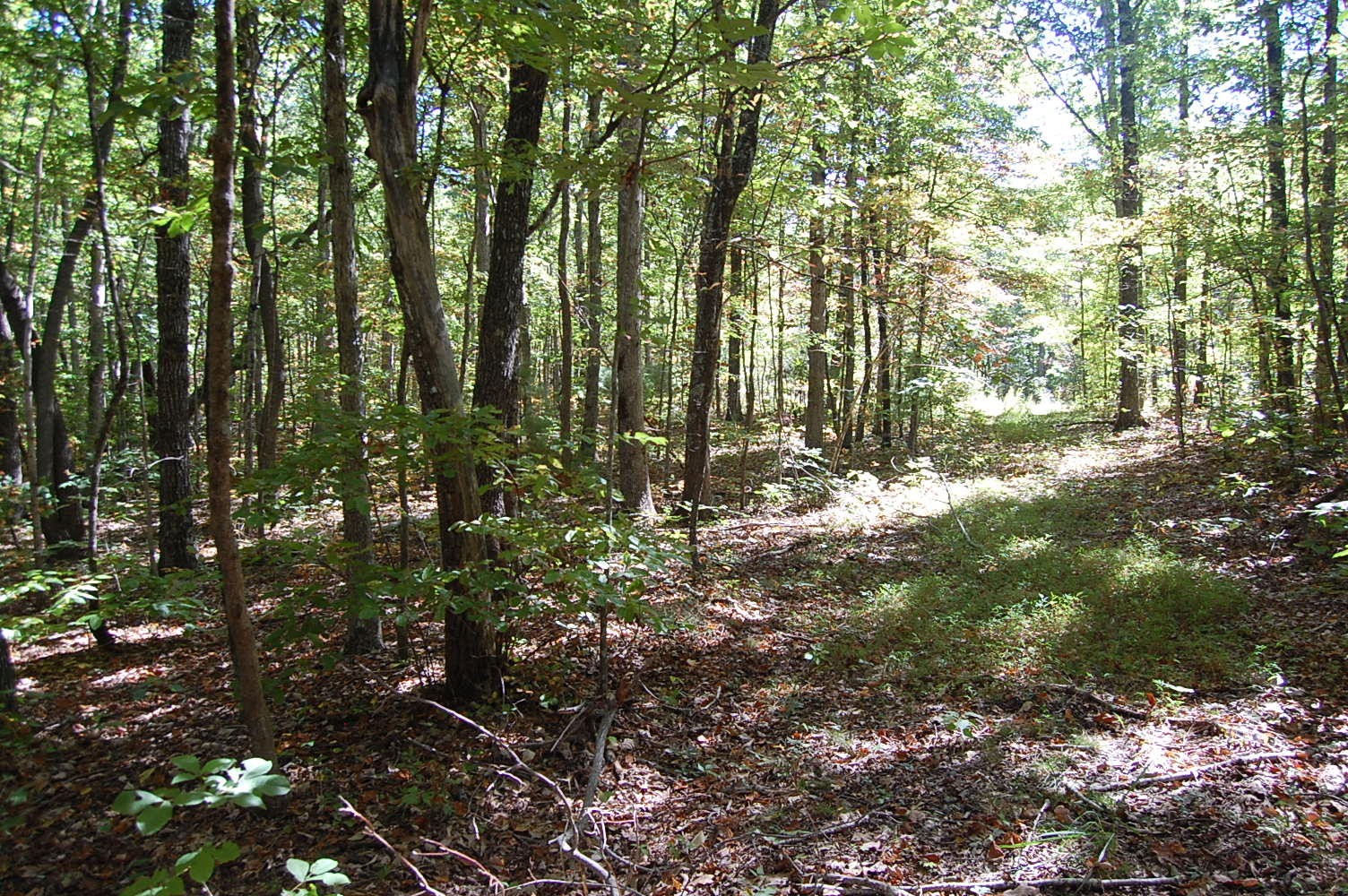 200 West Bluff Road Pikeville, TN 37367 - Photo 40 of 47 Gallery Image 40