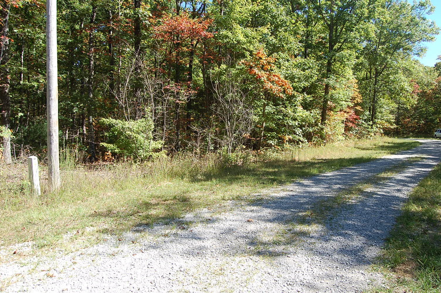 200 West Bluff Road Pikeville, TN 37367 - Photo 4 of 47 Gallery Image 4