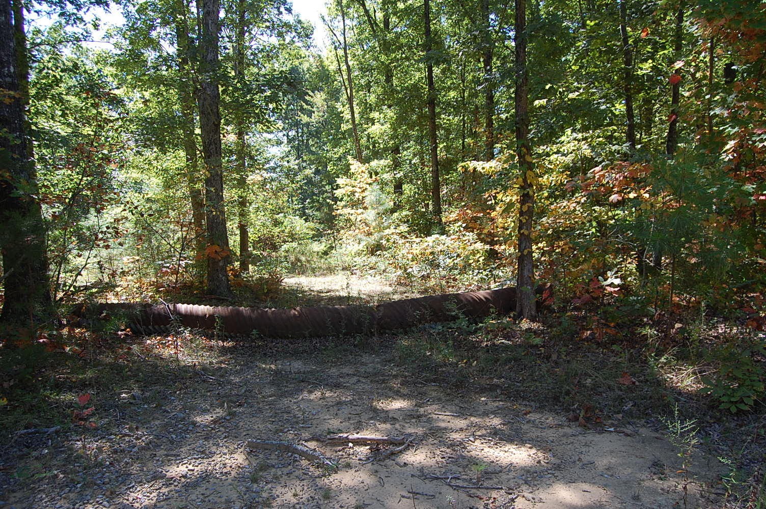 200 West Bluff Road Pikeville, TN 37367 - Photo 44 of 47 Gallery Image 44