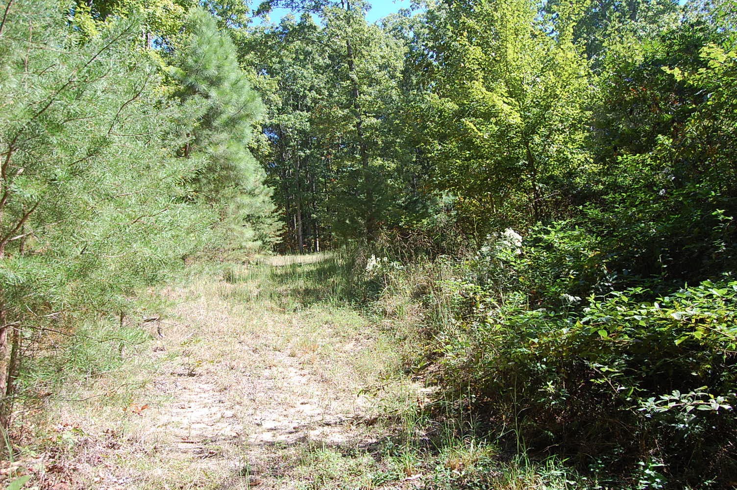 200 West Bluff Road Pikeville, TN 37367 - Photo 45 of 47 Gallery Image 45