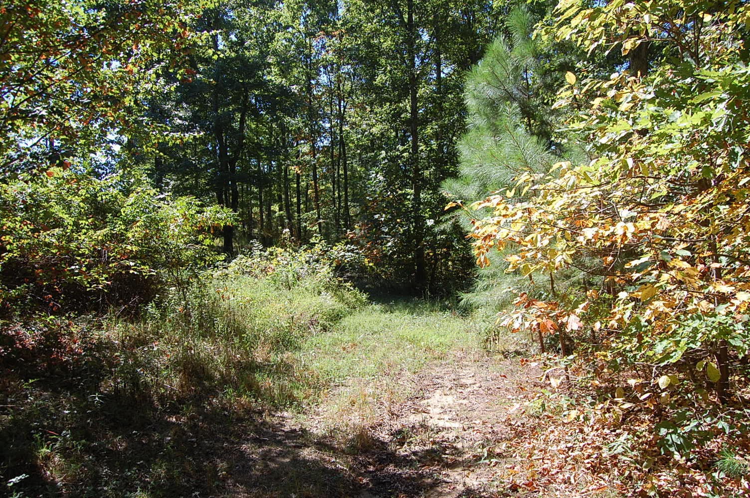 200 West Bluff Road Pikeville, TN 37367 - Photo 46 of 47 Gallery Image 46