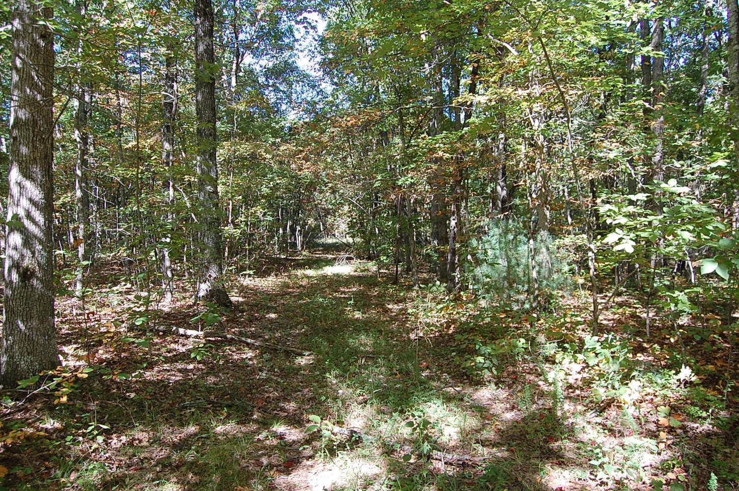 200 West Bluff Road Pikeville, TN 37367 - Photo 5 of 47 Gallery Image 5