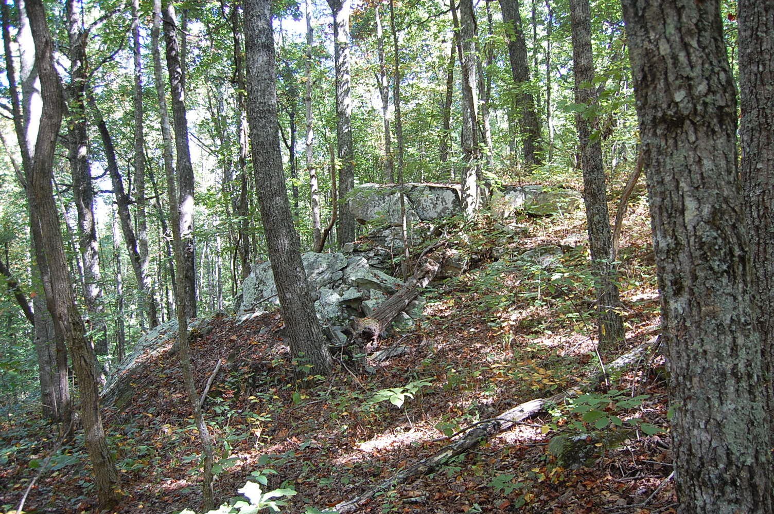 200 West Bluff Road Pikeville, TN 37367 - Photo 10 of 47 Gallery Image 10