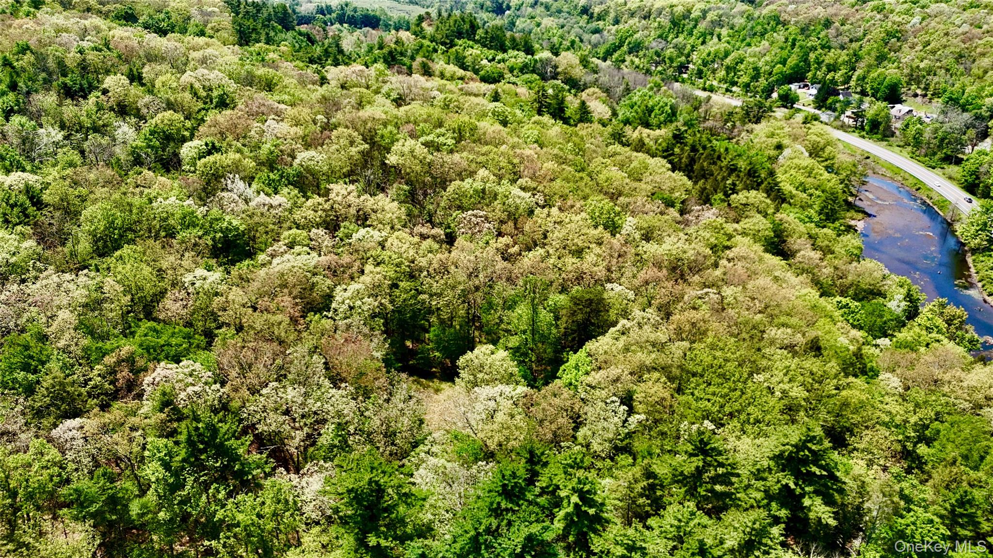 Depot Road Wurtsboro, NY 12790 - Photo 11 of 12 Secluded property.