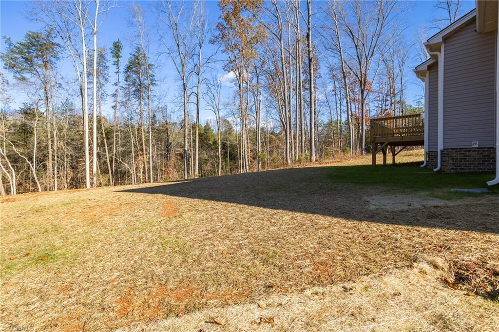 7737 Sedgewick Ridge Road Lewisville, NC 27023 - Photo 36 of 38