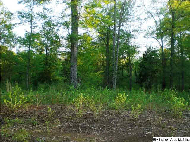 125 Farmstead Road, Unit 20A Wilsonville, AL 35186 - Photo 2 of 4