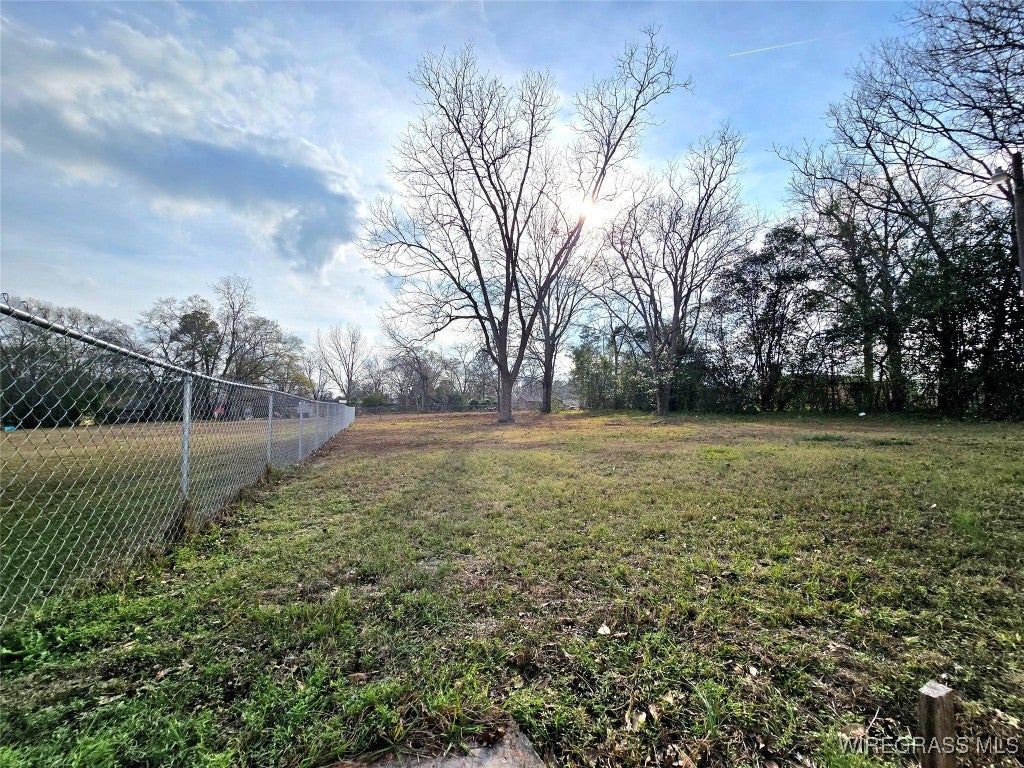 102 McCormick Street Enterprise, AL 36330 - Photo 13 of 14 Huge Backyard