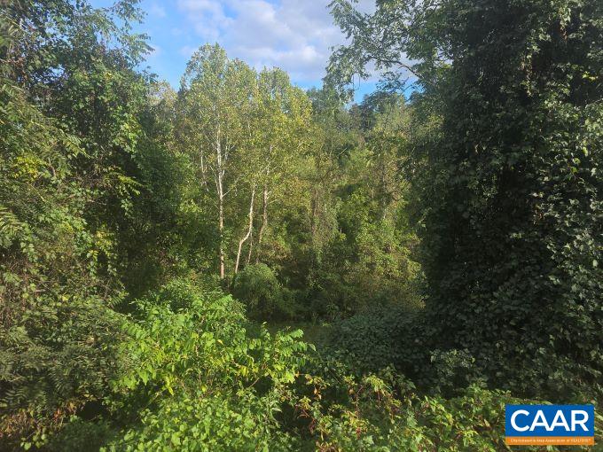 1641 Meridian Street Charlottesville, VA 22902 - Photo 11 of 25