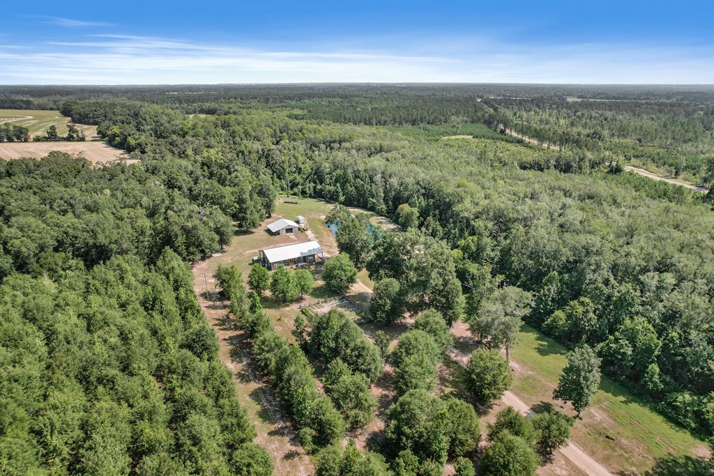 2480 South Springhill Road Gordon, AL 36343 - Photo 113 of 114
