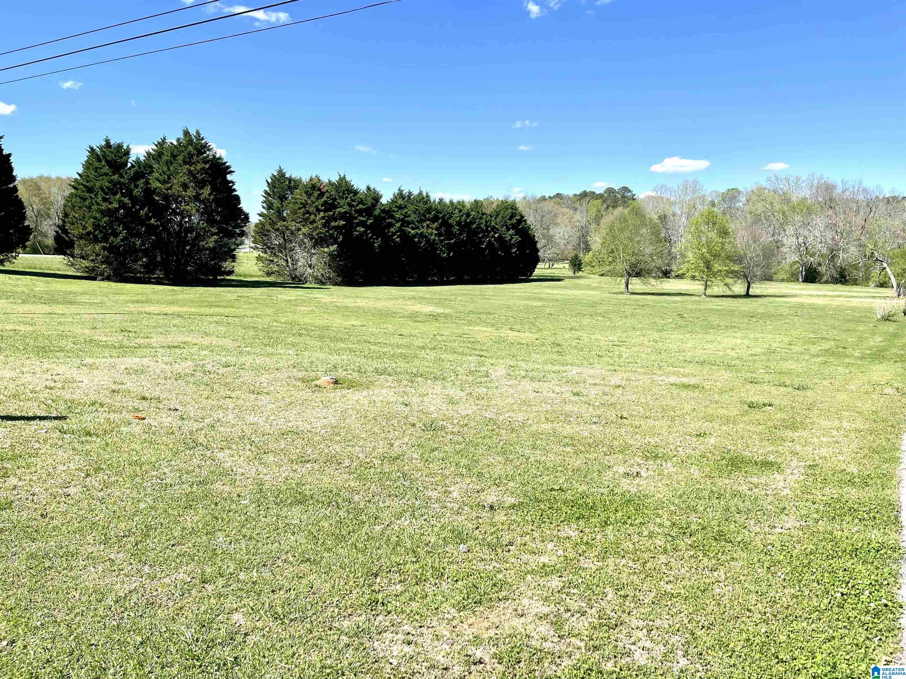 1480 Stemley Bridge Road Talladega, AL 35160 - Photo 51 of 55
