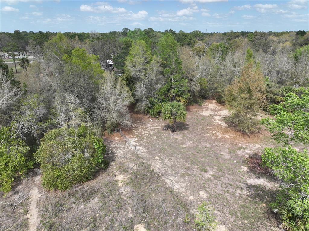 17783 Bonifay Lane Spring Hill, FL 34610 - Photo 5 of 9 a view of a city with lush green forest