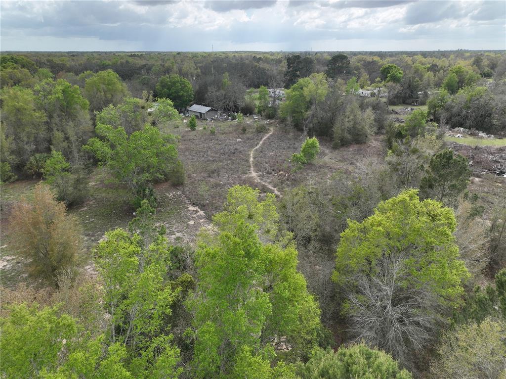 17783 Bonifay Lane Spring Hill, FL 34610 - Photo 6 of 9 a view of a lush green forest with lots of trees