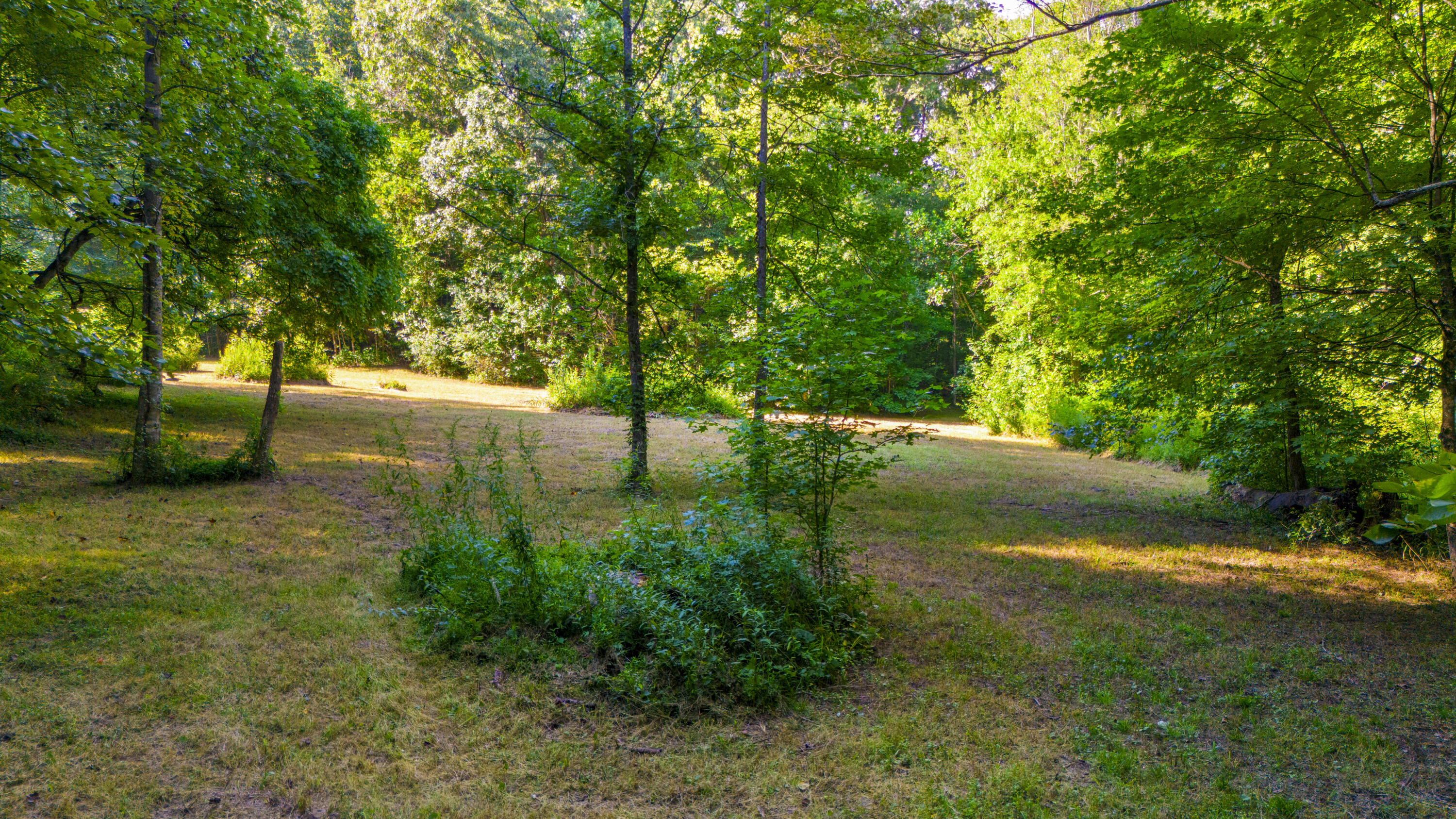 1649 Virden Ridge Road Clay City, KY 40312 - Photo 17 of 43 DJI_20250806173827_0228_D