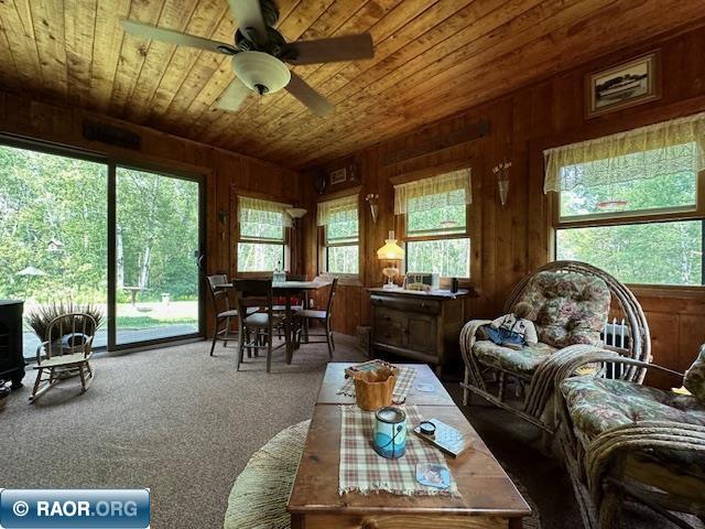 4482 Stuntz Road Hibbing, MN 55746 - Photo 34 of 44