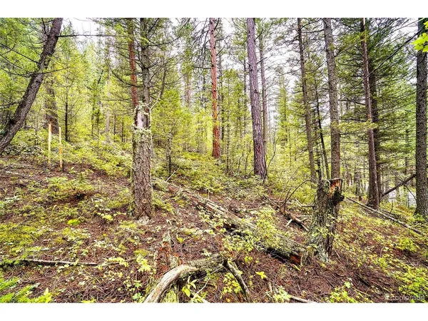 $99,500 | 10862 Twin Spruce Road, Golden, CO 80403