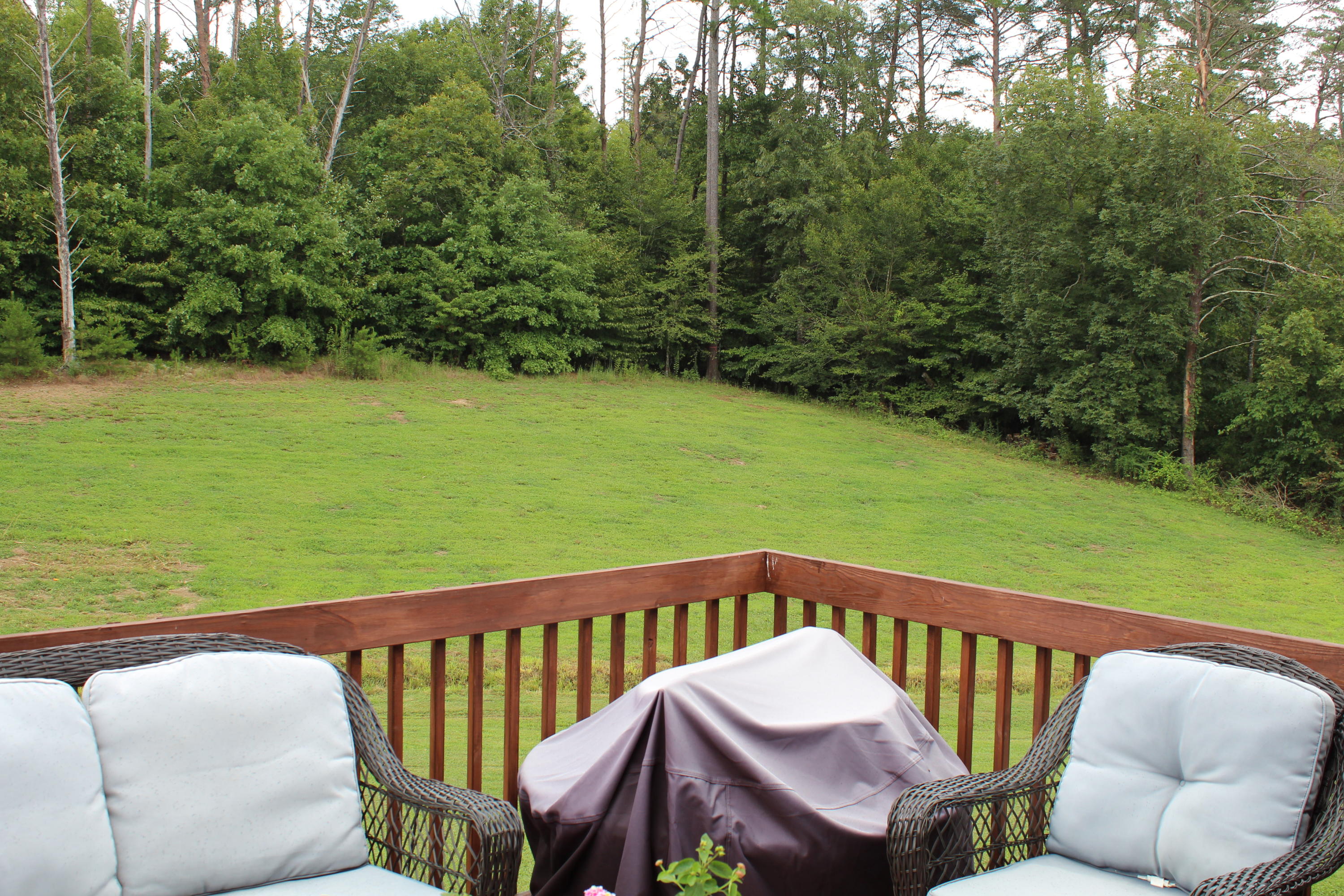 9220 Pedigo Road Powell, TN 37849 - Photo 26 of 28 IMG_2249