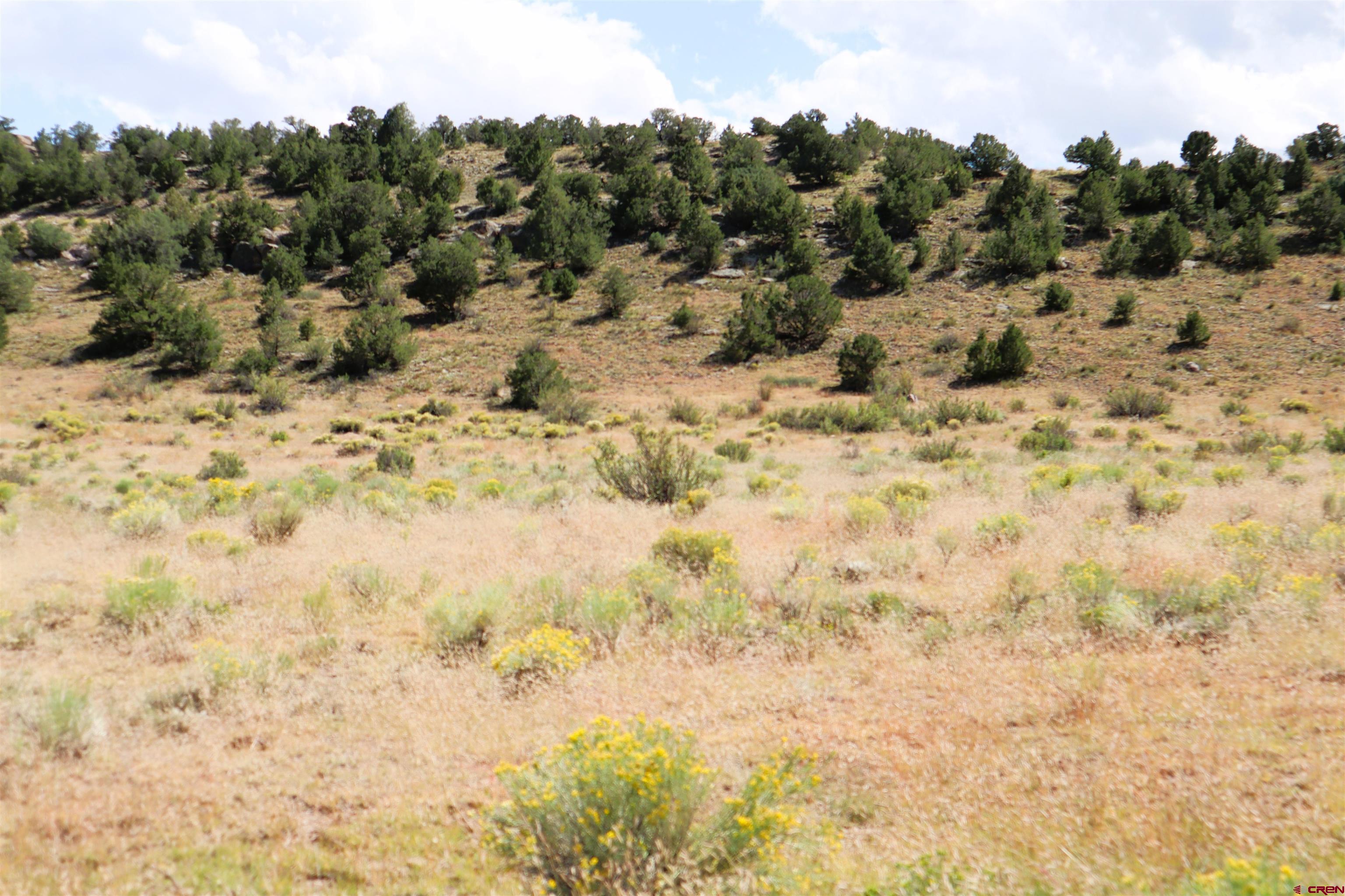 36 Wapiti Ridge Road Del Norte, CO 81132 - Photo 3 of 7 a view of a covered with trees in the background