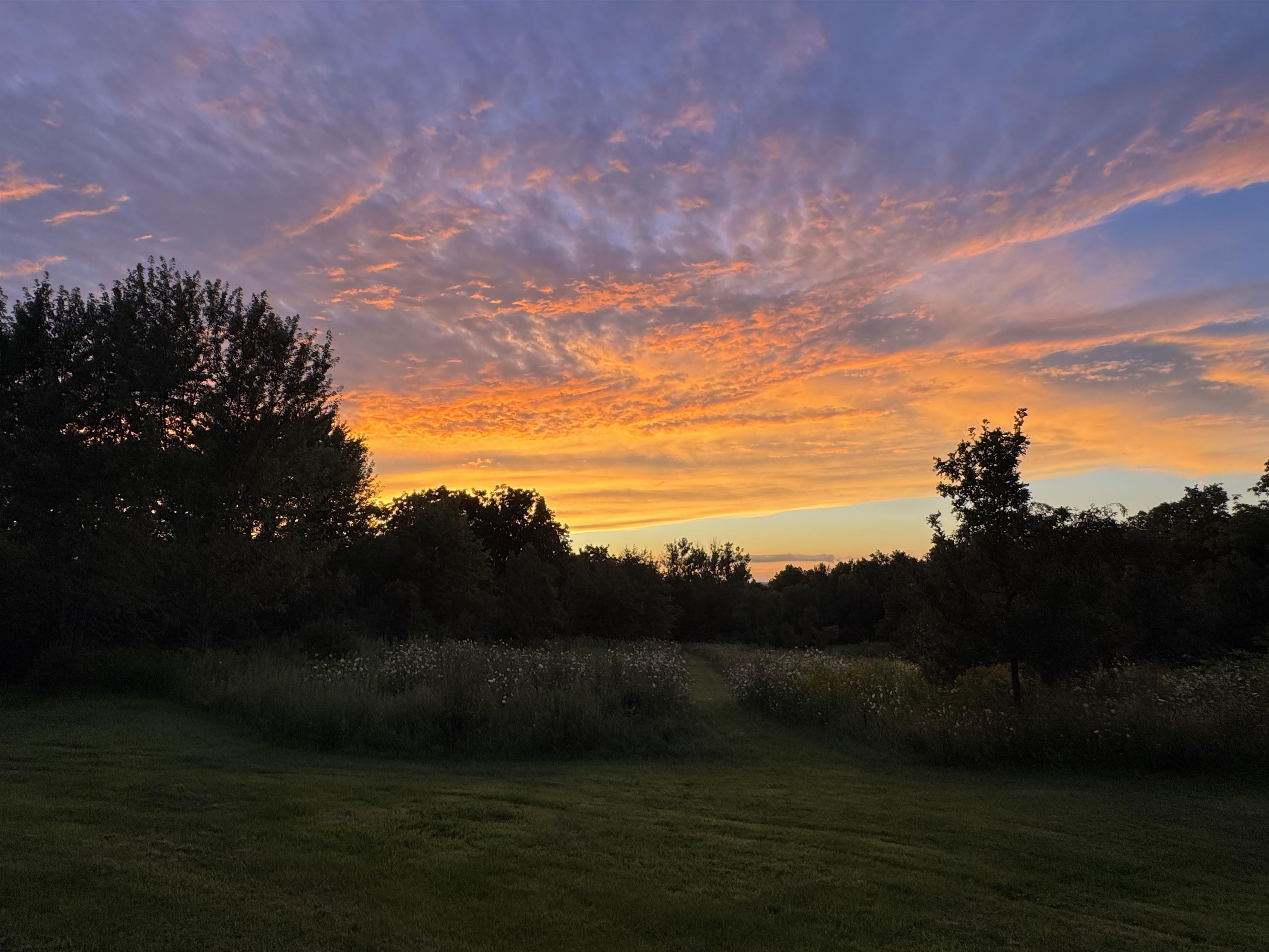 4989 North Ford Road Scales Mound, IL 61075 - Photo 64 of 93