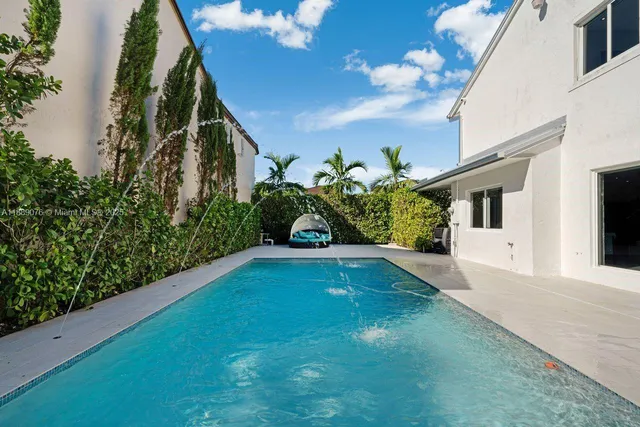 a view of a back yard with potted plants