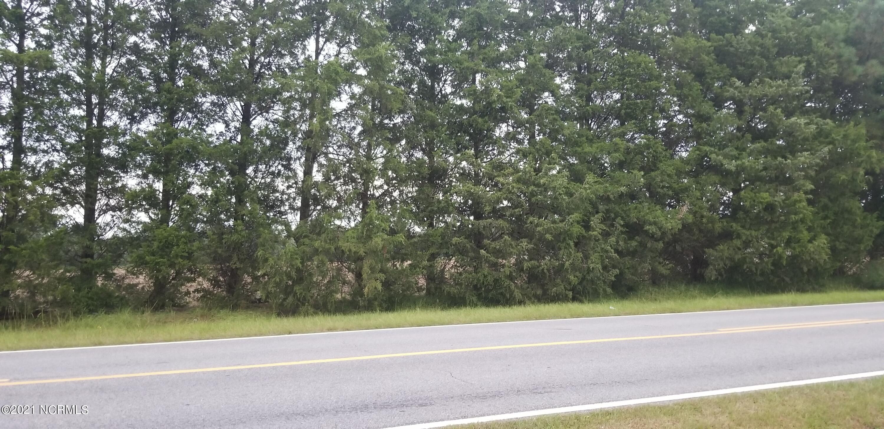 2695 Pauls Path Road Kinston, NC 28504 - Photo 12 of 40 View Across the street